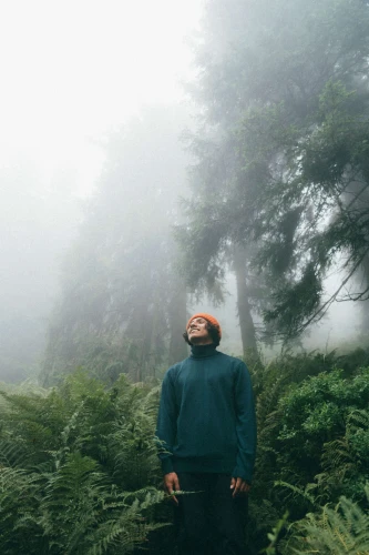 OCELOT RWS KOPYTO - zielony butelkowy męski golf - sweter 100% wełny merino men's turtleneck sweater, bottle green (9).jpg