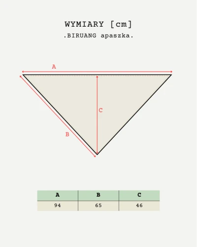 Biruang wymiary.png