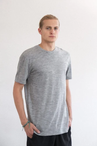 KOPYTO-kameleon-szara-meska-koszulka-welniana-z-welny-merino-rws-etycznej-bez-mulesingu-polska-produkcja (2).jpg