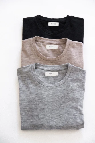 KOPYTO-kameleon-szara-czarna-ciemny-bezowu-meska-koszulka-welniana-z-welny-merino-rws-etycznej-bez-mulesingu-polska-produkcja