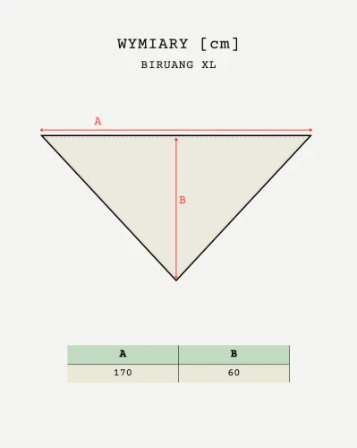 Biruang wymiary (1).png