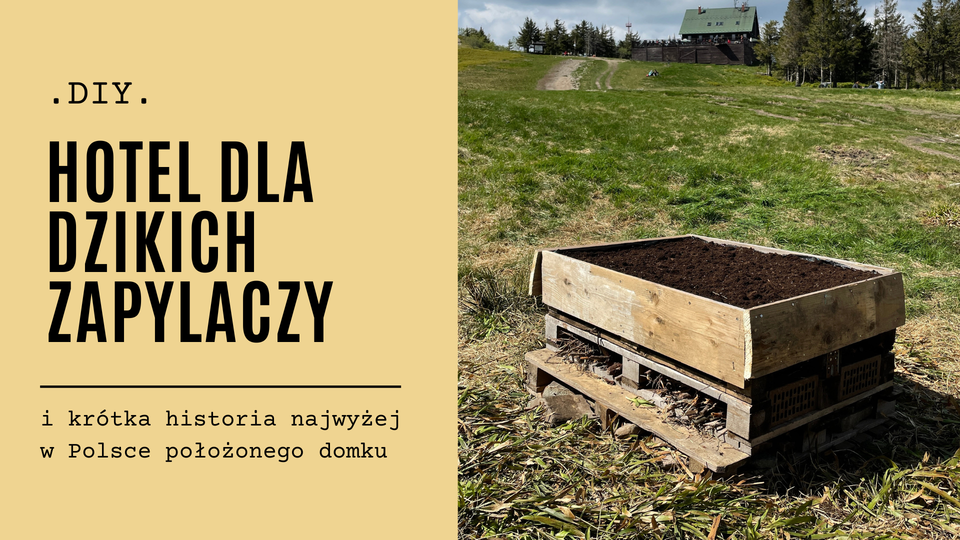 DIY – hotel dla dzikich zapylaczy