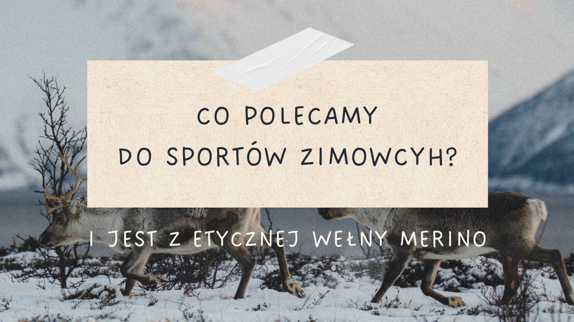 Co zabrać w góry zimą?